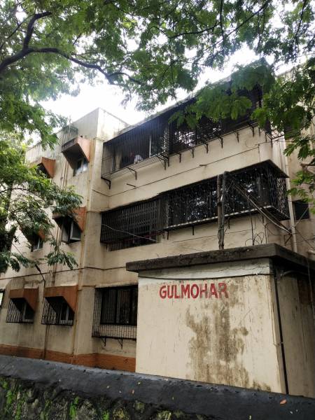  gulmohur Images for Project