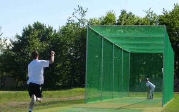  fortune Cricket Pitch