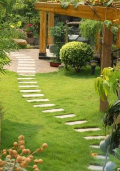  fortune Jogging Track