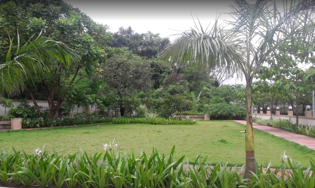  tulsi imperial Others