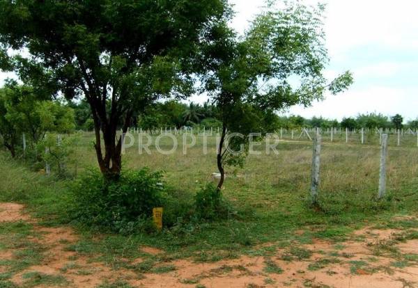 Images for Elevation of Global Foundations Doctors Enclave