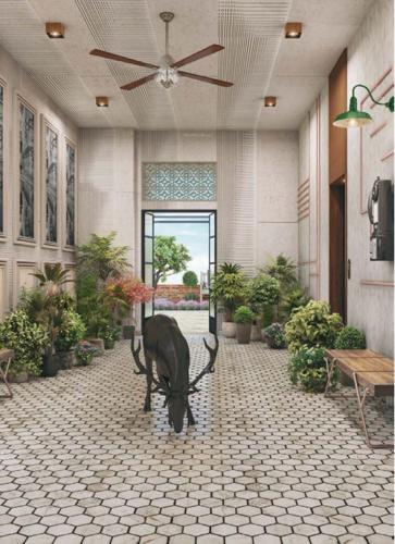  140-shivaji-park Living Area