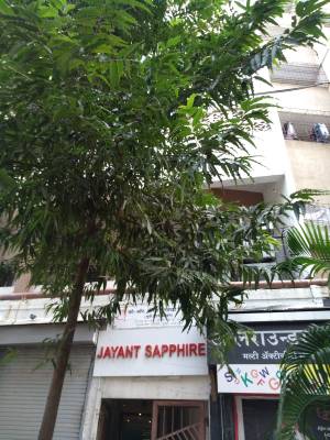  sapphire Images for Project