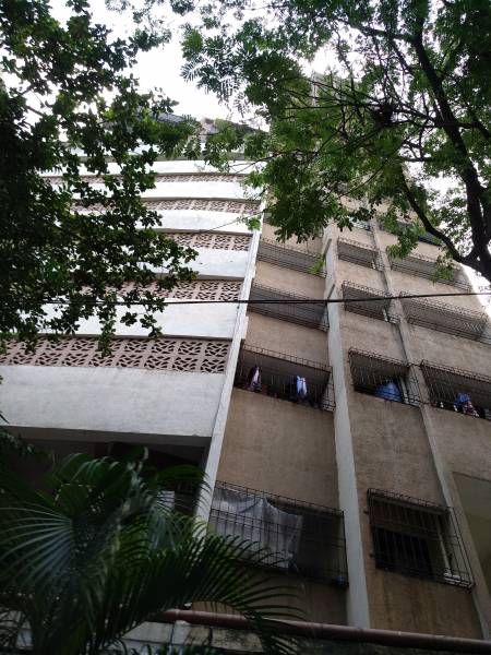  sapphire Images for Project