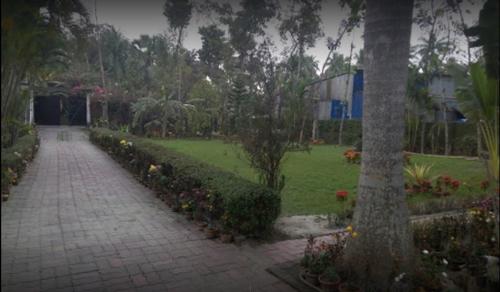  garden Others