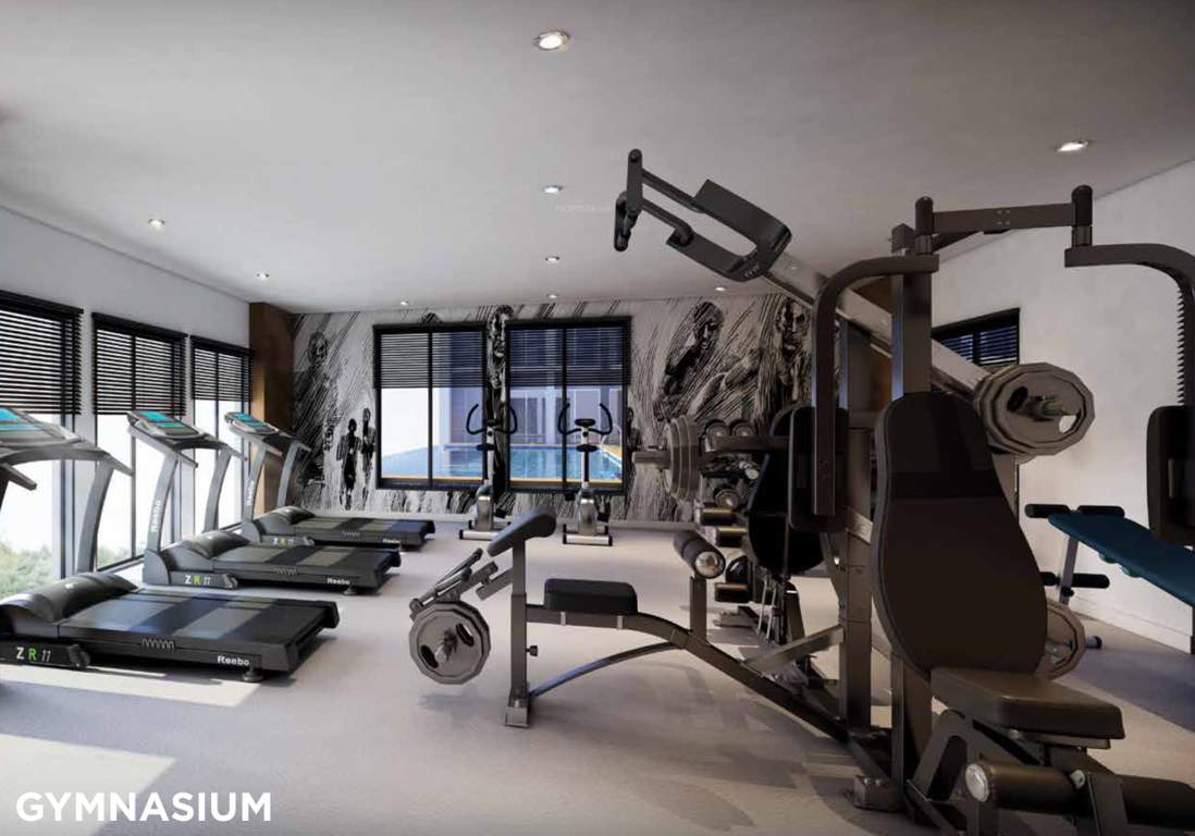 Images for Amenities of PS Amistad