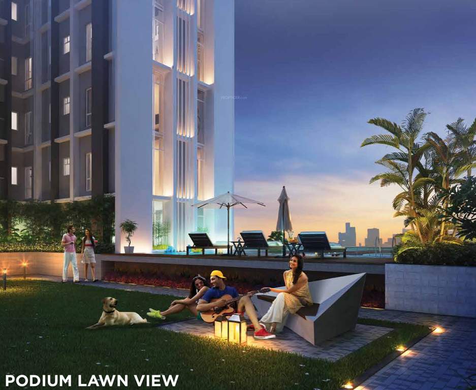 Images for Amenities of PS Amistad