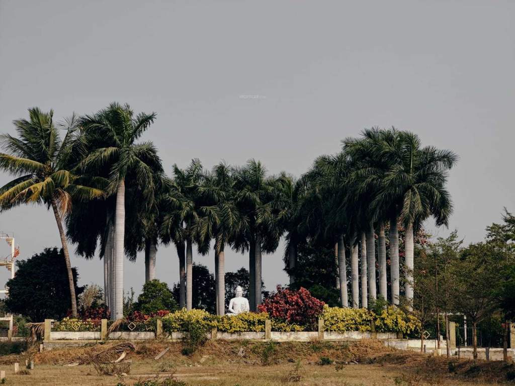  sukrithi royal Elevation