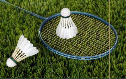  cygnus Badminton Court