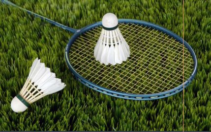  cygnus Badminton Court