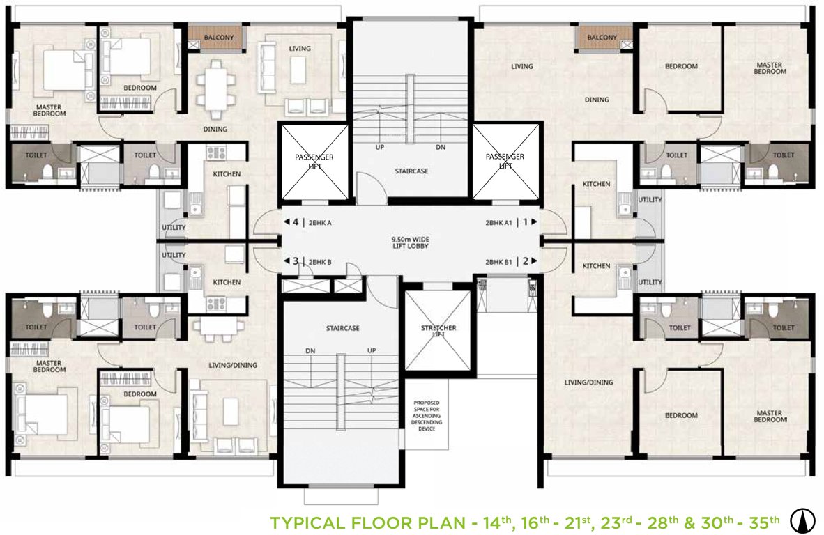  roots Roots Cluster Plan