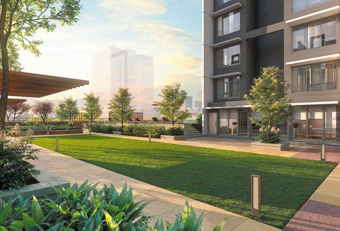  roots Landscape Garden and Tree Planting