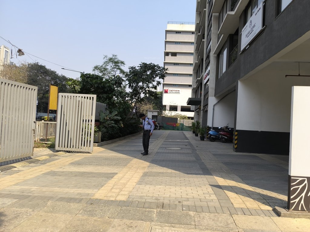  roots Paved Compound