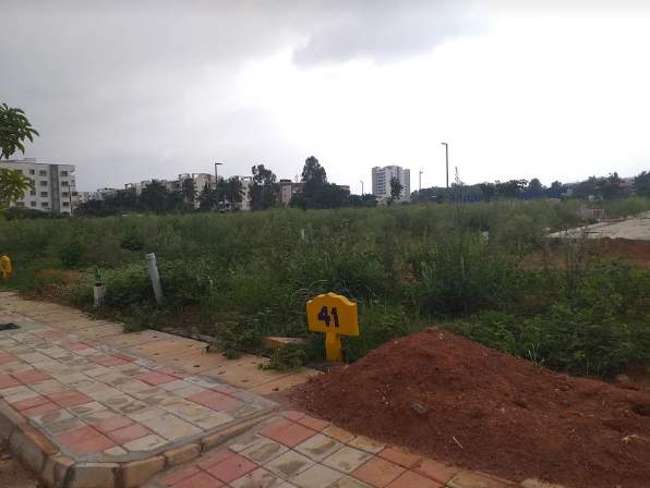  the green belt Others