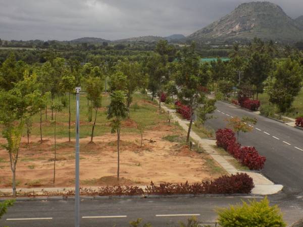 Elevation hill-crest Elevation