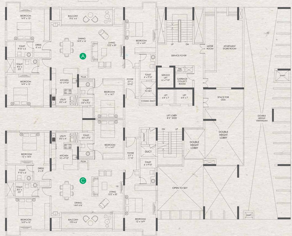  clover by the river Jade Green Typical 1St Floor  Cluster Plan