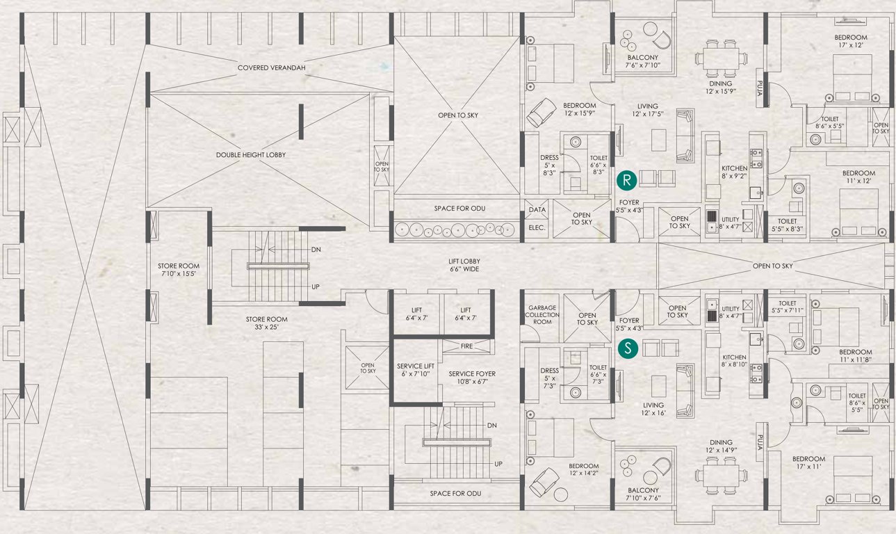  clover by the river Pine Green 1st Floor Cluster Plan