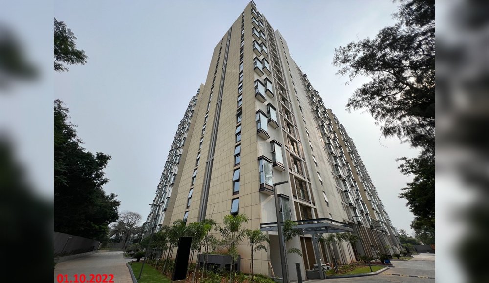  clover by the river Elevation