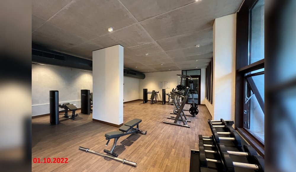  clover by the river Gymnasium