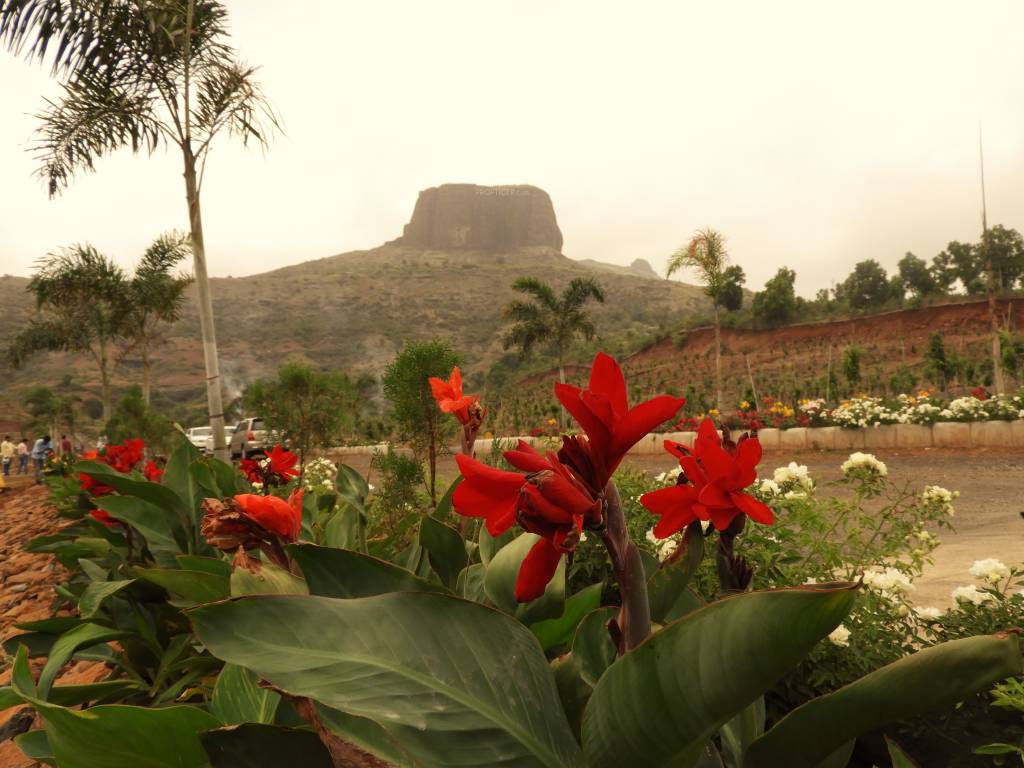 Images for Main Other of Asha Bramha Greens