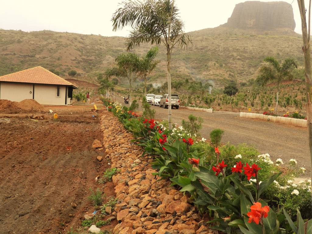 Images for Main Other of Asha Bramha Greens