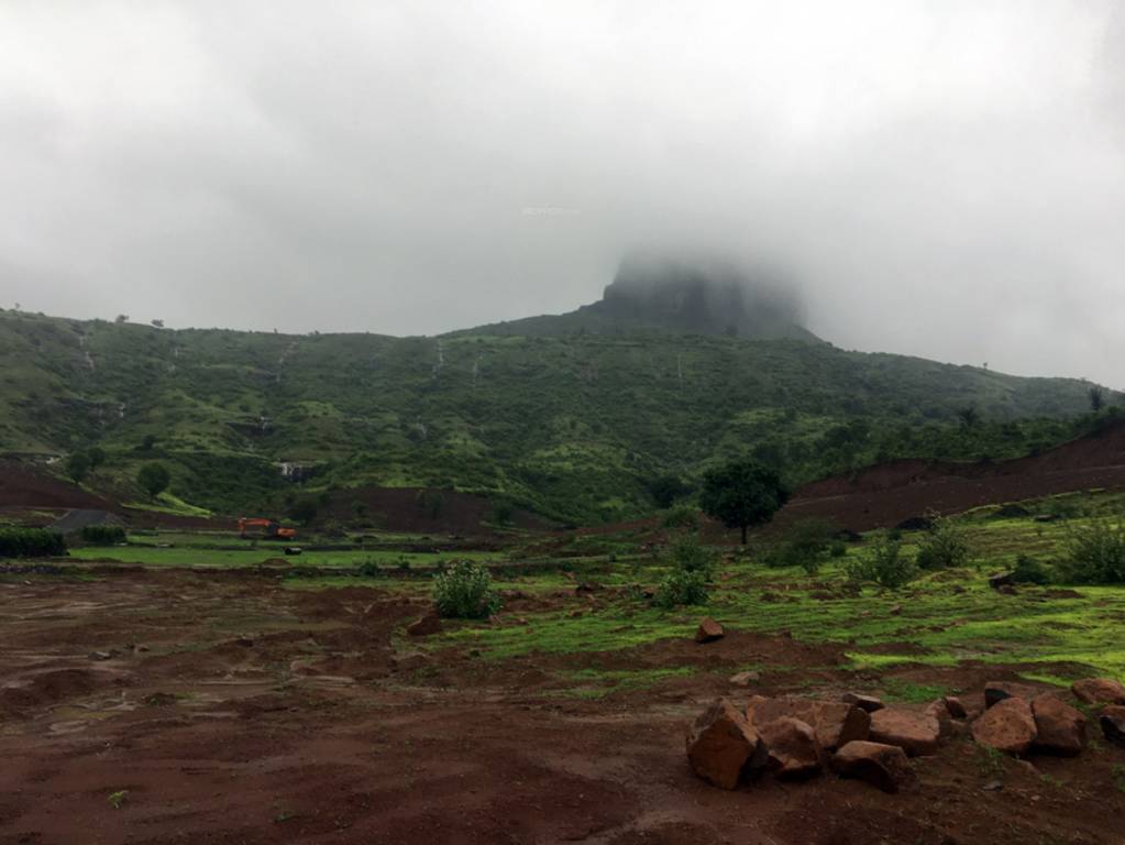 Images for Main Other of Asha Bramha Greens