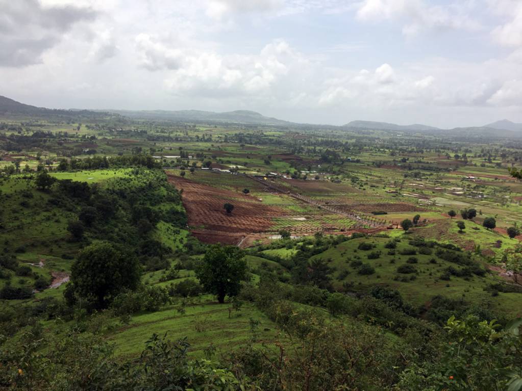 Images for Main Other of Asha Bramha Greens