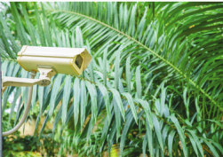  n-g-tivoli-phase-i CCTV