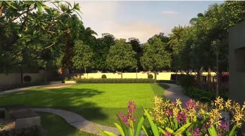  capella Landscape Garden and Tree Planting