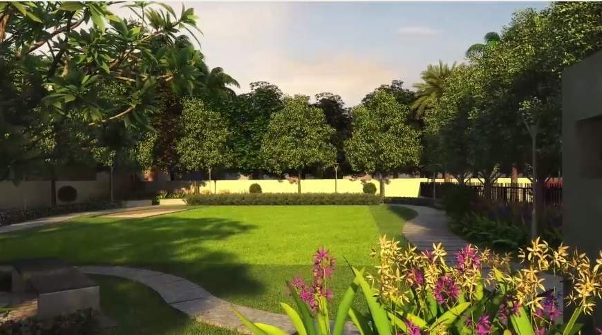  capella Landscape Garden and Tree Planting