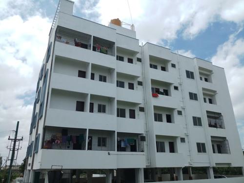  shine Images for Elevation of Elite Shine