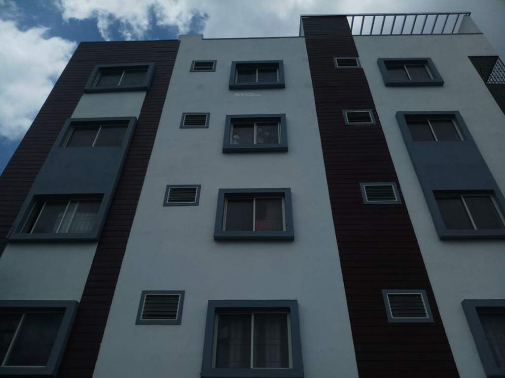  shine Images for Elevation of Elite Shine