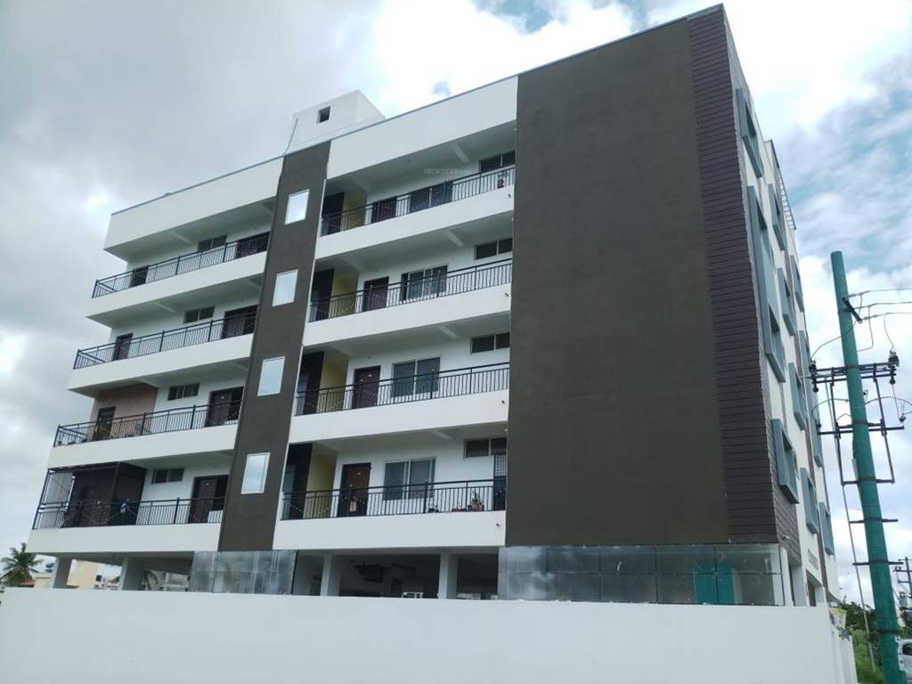  shine Images for Elevation of Elite Shine