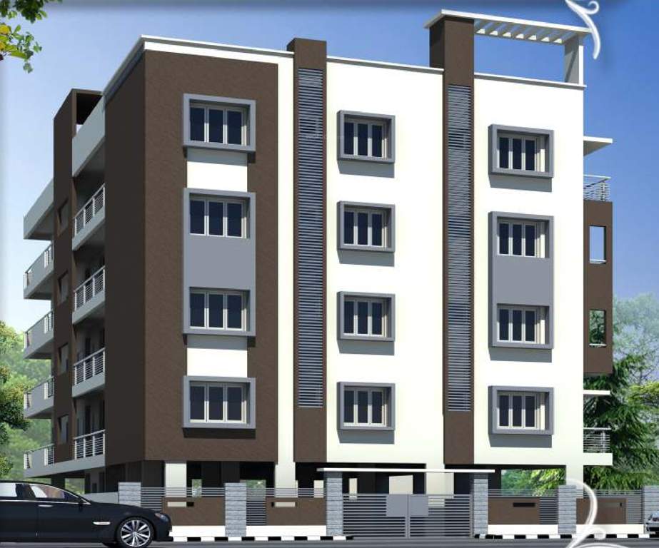  shine Images for Elevation of Elite Shine