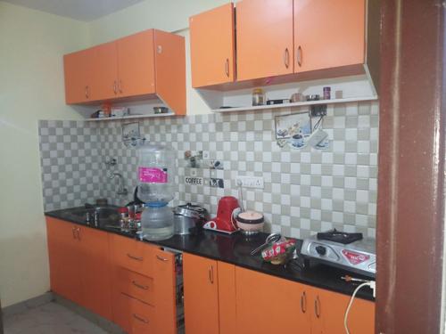  shine Images for Main Other of Elite Shine