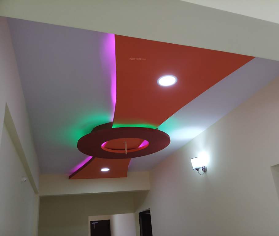  shine Images for Main Other of Elite Shine