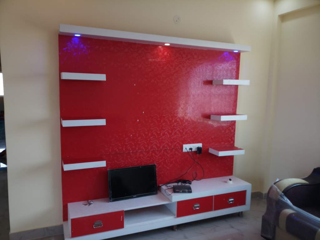  shine Images for Main Other of Elite Shine