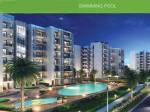 Swimming Pool  godrej-golf-link Swimming Pool