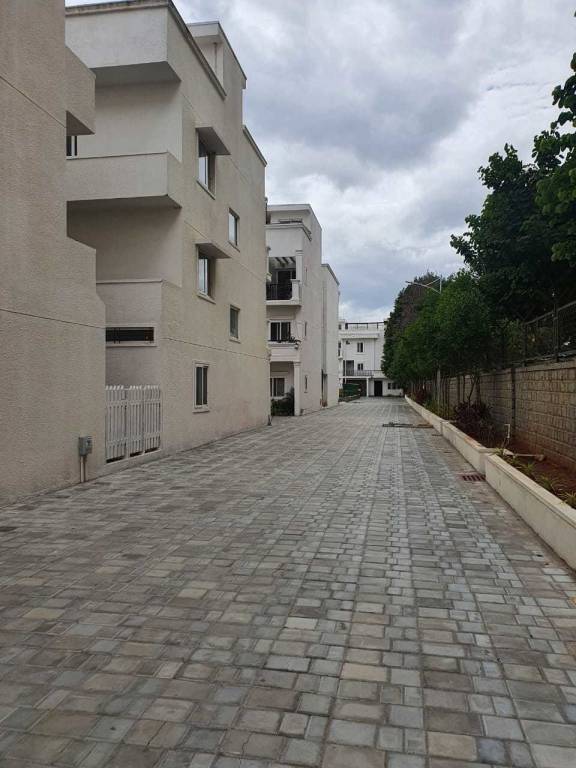  sunshine signature Elevation