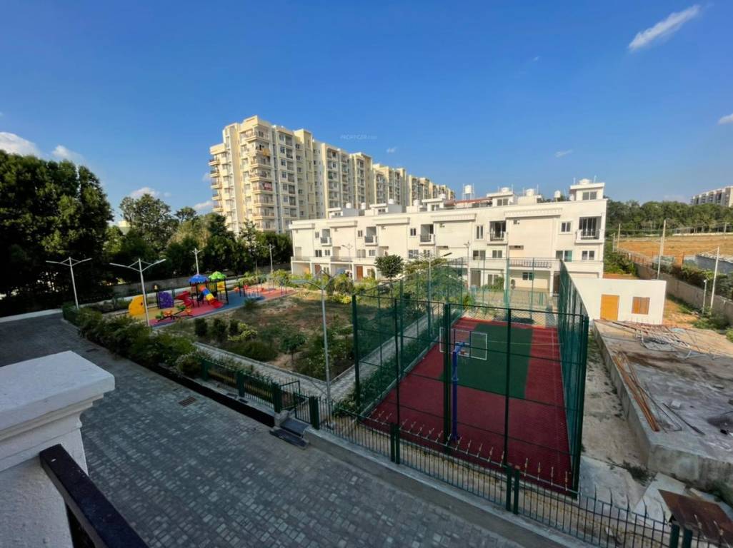  sunshine signature Others