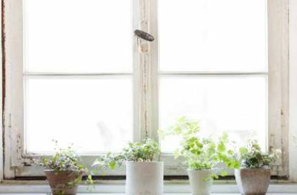 Images for Amenities of United Sunshine Signature