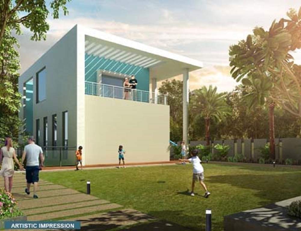 savvy homes 2 Landscape Garden and Tree Planting