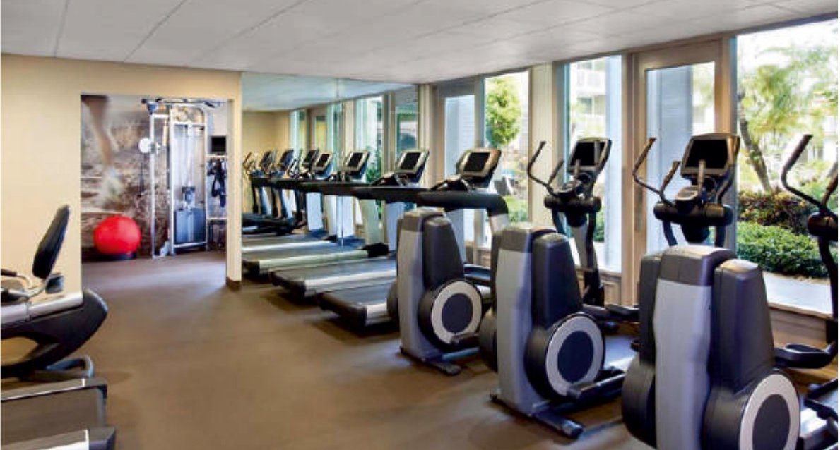  home royals Gymnasium