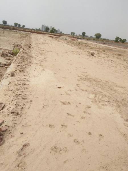 Images for Main Other of STH Hardik Greens Images for Main Other of STH Hardik Greens