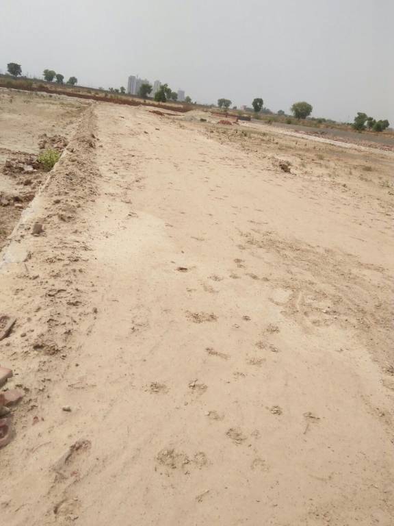 Images for Main Other of STH Hardik Greens