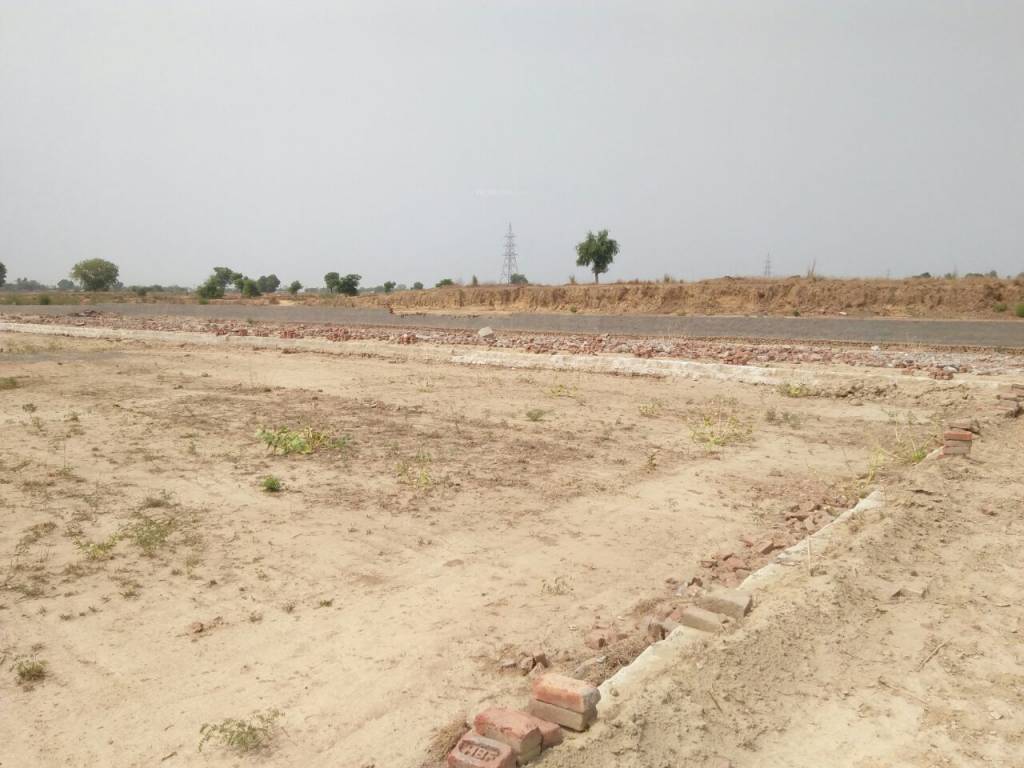 Images for Main Other of STH Hardik Greens