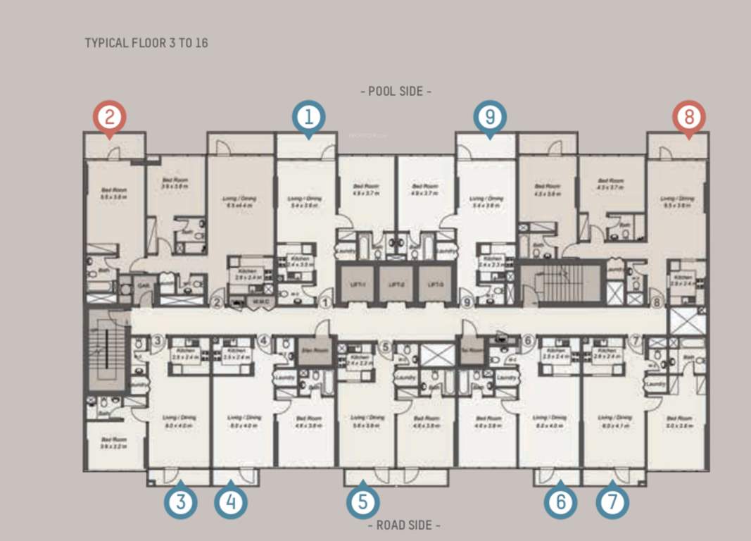  la riviera apartments La Riviera Apartments Cluster Plan