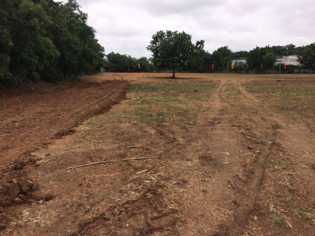 Images for Main Other of Srika Western