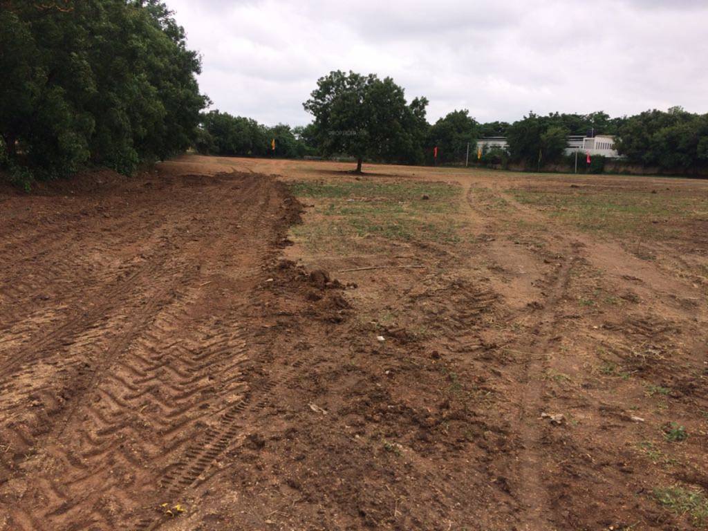 Images for Main Other of Srika Western