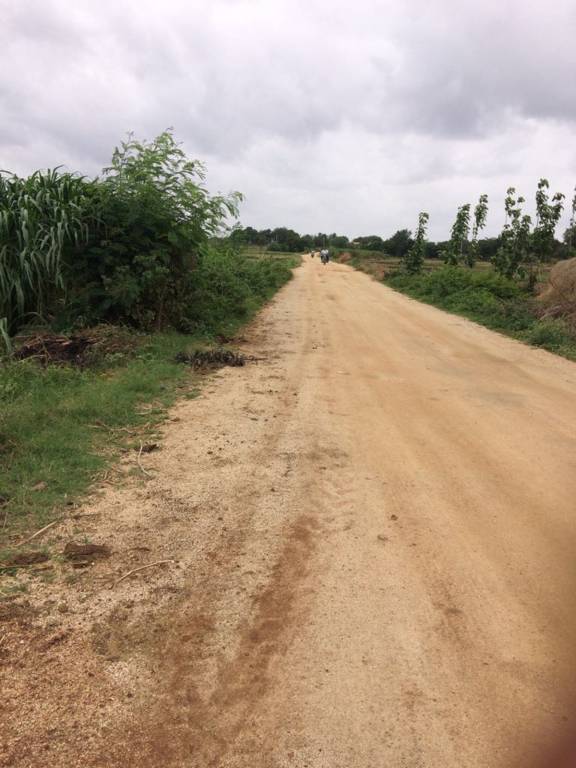 Images for Main Other of Srika Western